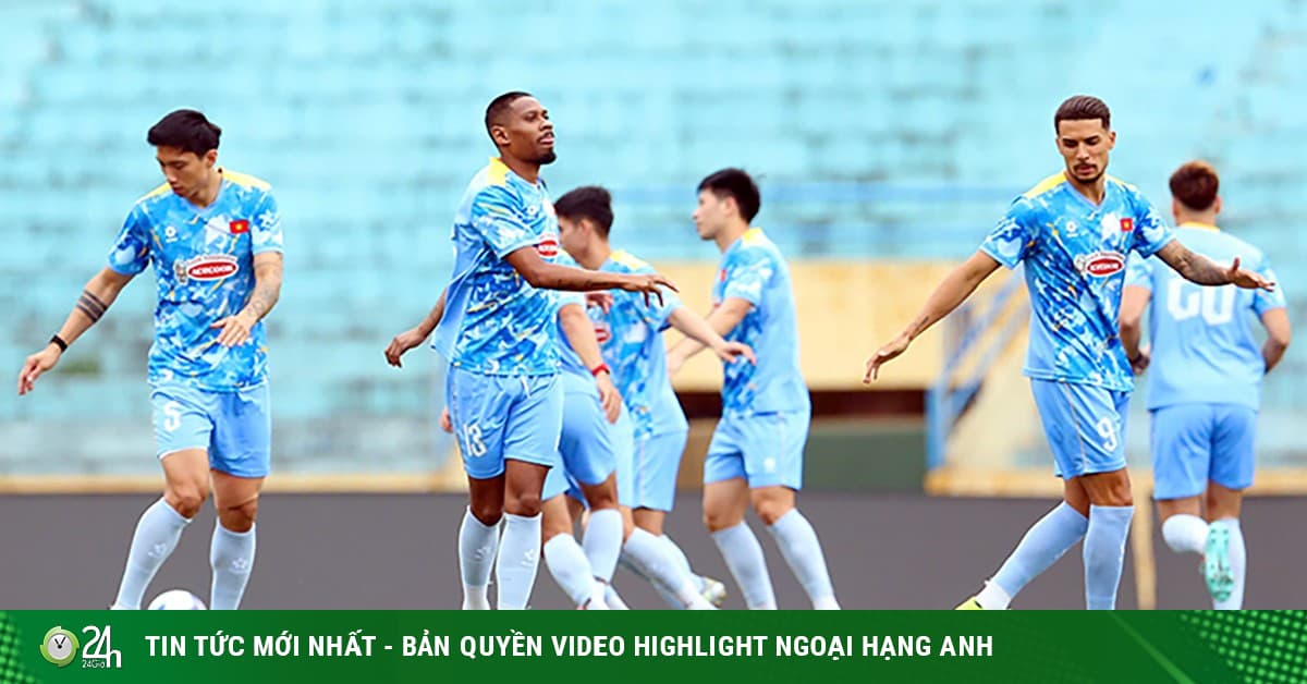 Cody Gakpo: Hành trình từ PSV đến trụ cột của Liverpool